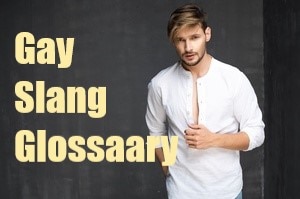 Gay Slang Glossaary